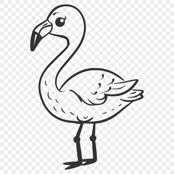 A detailed illustration of a single flamingo bird in full body pose.