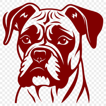 A digital illustration of a head-on view of a Boxer dog breed.