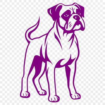 A full-body illustration of a standing dog breed, identified as a Boxer.