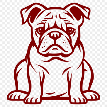 A close-up illustration of a sitting bulldog from head to paw.