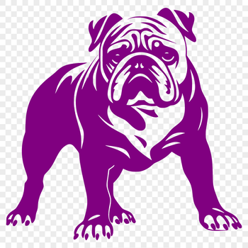 A full-body illustration of a bulldog standing upright.