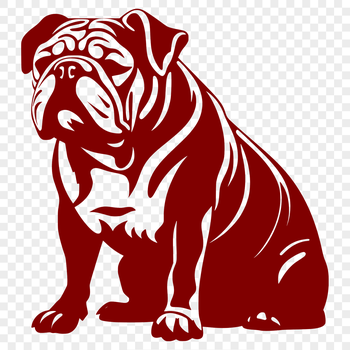 A detailed illustration of a bulldog in full body pose, sitting with its front legs folded under its body.