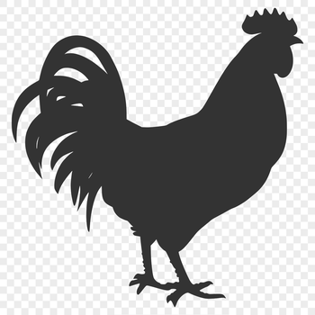 A detailed silhouette of a full body chicken in vector format.