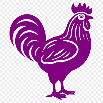 A detailed illustration of a chicken's full body, suitable for vector art design.