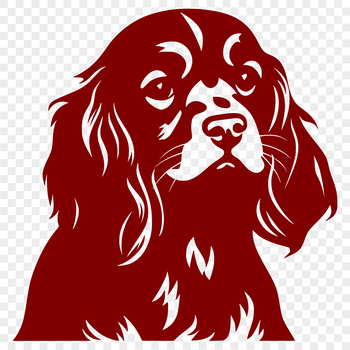 An illustration of a Cocker Spaniel's head, featuring a breed-specific dog face.