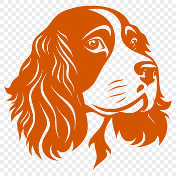 A close-up illustration of a Cocker Spaniel's head, showcasing its distinctive features.