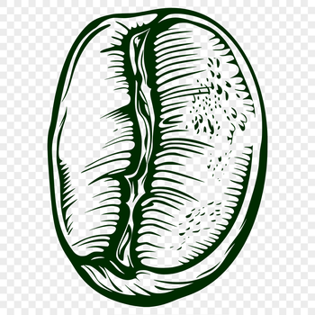 A high-quality SVG illustration of a single coffee bean with detailed texture.