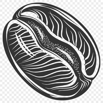 A single coffee bean with detailed texture and shading.