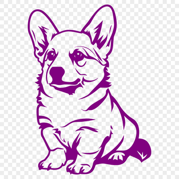 A full-body illustration of a sitting Corgi, suitable as a vector graphic for various design projects.