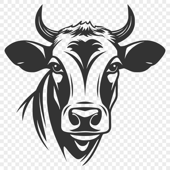 A detailed illustration of a cow's head, suitable for vector graphics and digital cutting machines.