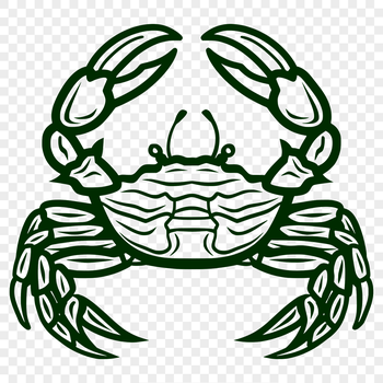 A detailed illustration of a crab's full body from multiple angles.