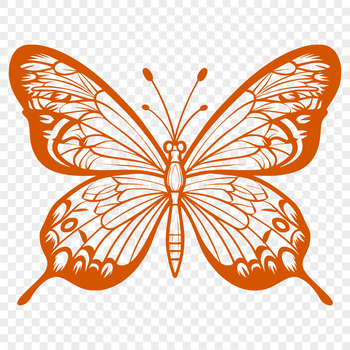 A detailed illustration of a butterfly, showcasing its full body, wings, and antennae.