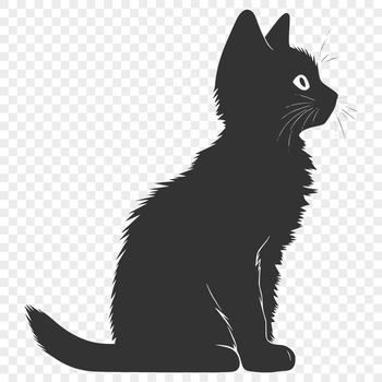 A full-body illustration of a cute sitting cat, suitable for various design purposes.