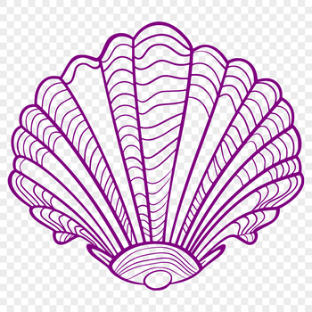 A colorful seashell illustration created in vector format.