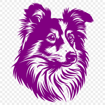 Illustrative depiction of a Shetland sheepdog dog's head, suitable for vector art designs.