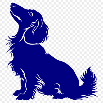A full-body illustration of a sitting dachshund dog, suitable for vector art and clipart applications.