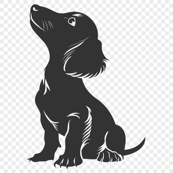 A full-body illustration of a seated dachshund dog, suitable for use in vector graphics.
