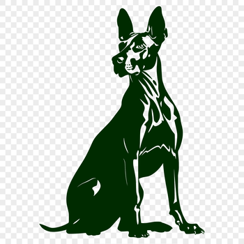 A detailed illustration of a Doberman Pinscher in full body pose, suitable for various design applications.