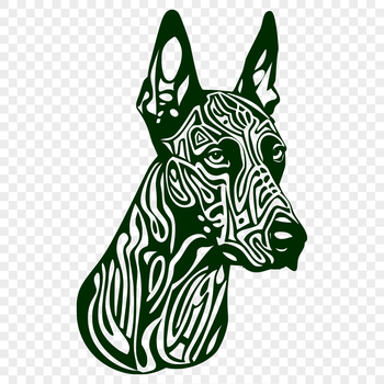 A vector illustration of a Doberman Pinscher's head with intricate details.