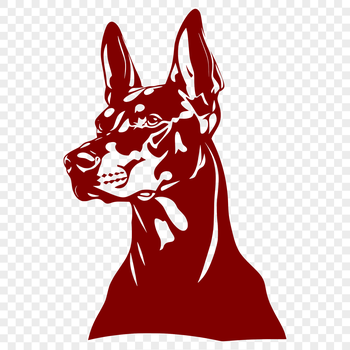 A detailed illustration of a Doberman Pinscher's head from various angles.