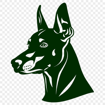 Vector image of a Doberman Pinscher breed dog, ideal for use in digital designs.