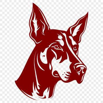 A detailed illustration of a Doberman Pinscher's head with its distinctive features.