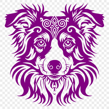 Image of a stylized Australian Shepherd dog's head in vector format.
