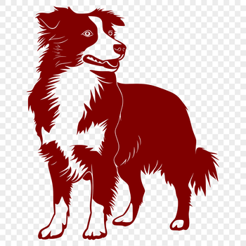 A high-quality illustration of a standing Australian Shepherd dog from the side, suitable for various digital applications.