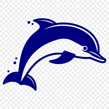 A detailed illustration of a full-body dolphin in various postures.