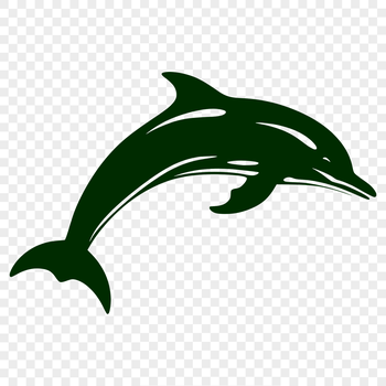 A detailed illustration of a dolphin's full body, suitable for vector design and clip art use.