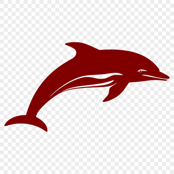 A detailed illustration of a dolphin in full body pose, suitable for vector art and cutting machine designs.