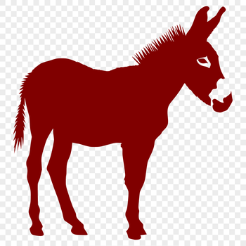 A standing donkey, depicted in vector format.