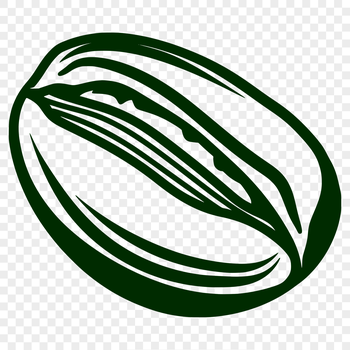 An outline representation of a single coffee bean designed as a scalable graphic.