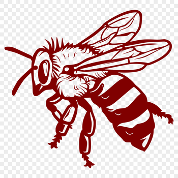 A detailed illustration of a bee in full body, with intricate details to facilitate accurate cutting or laser engraving.