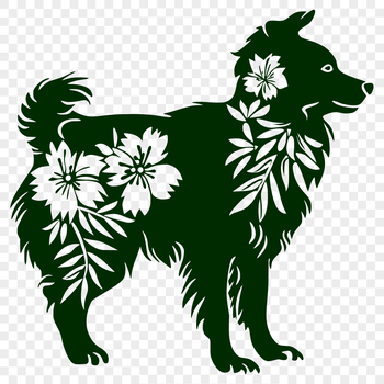 An adult Australian Shepherd dog standing on a grassy field with wildflowers in the background.