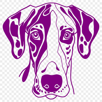 Large breed dog illustration featuring a Great Dane's head.