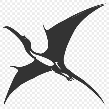 A detailed illustration of a Pteranodon in full body pose, suitable for vector design.