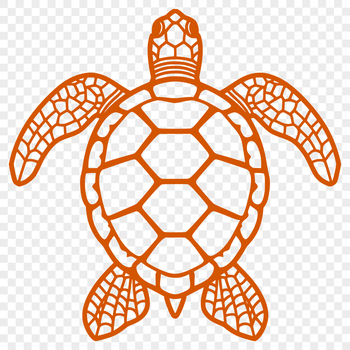 A detailed illustration of a sea turtle in its full body form, suitable for vector art design.