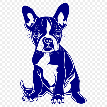 A clear, full-body illustration of a sitting Boston Terrier dog.