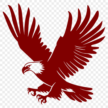 A detailed illustration of a full-body eagle in mid-flight, suitable for various design applications.