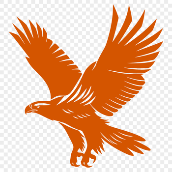 A detailed illustration of a flying eagle in mid-air, showcasing its full body from the beak to tail feathers.