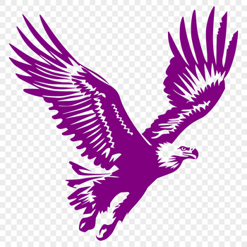 A detailed illustration of a flying bird of prey with spread wings, depicted in vector format.