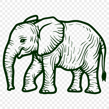Vector illustration of a standing elephant in full body view