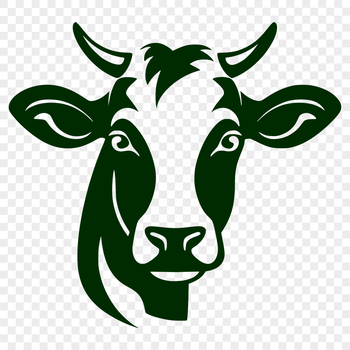 A detailed illustration of a cow's head with realistic features, suitable for vector design.