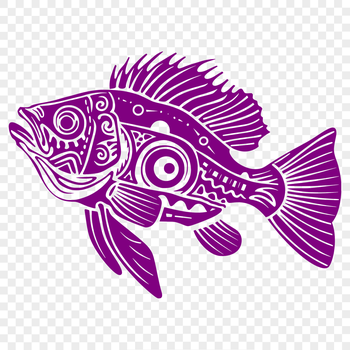 A detailed illustration of a Crappie fish, depicted in full body view.