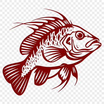 Beautiful Fish Artwork