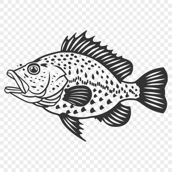 Unique Fish Vector Art