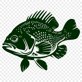 Image of a full-body crappie fish illustration in vector format.