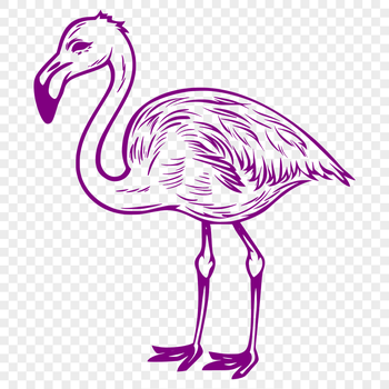 Creative Flamingo Vector Drawing