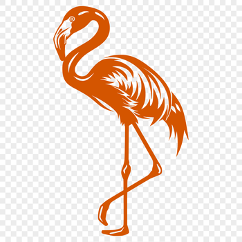 A detailed illustration of a flamingo standing upright, showcasing its distinctive features.